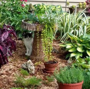 Meet your Posher, Pamela